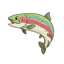 Rainbow Trout
