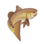 Red Drum Trout
